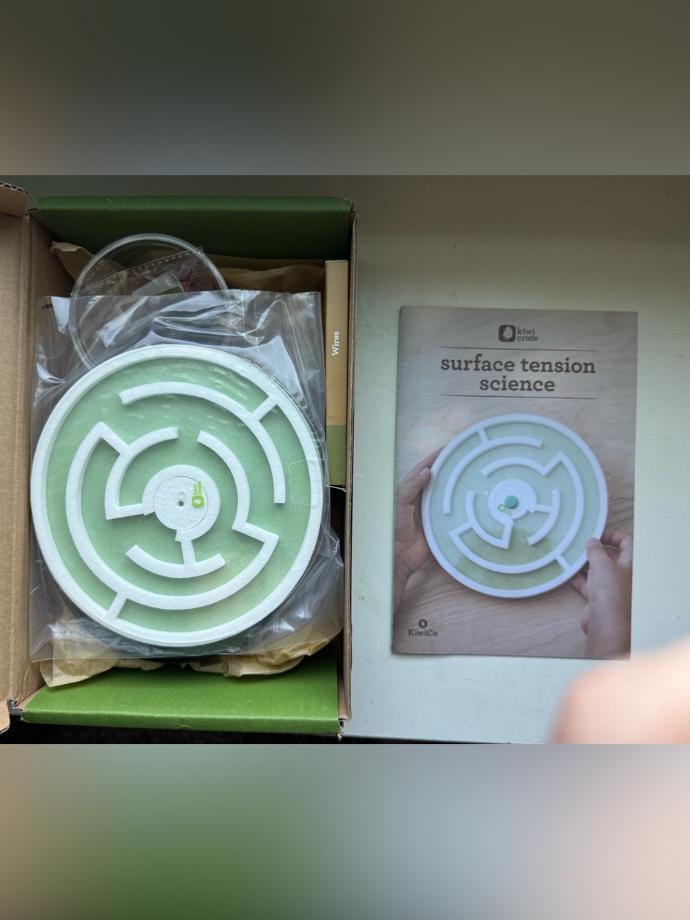 🥝 Kiwi Box- ⚡️Surface Tension 💧